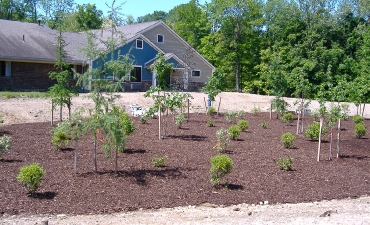 Gallery: Fairview Manor